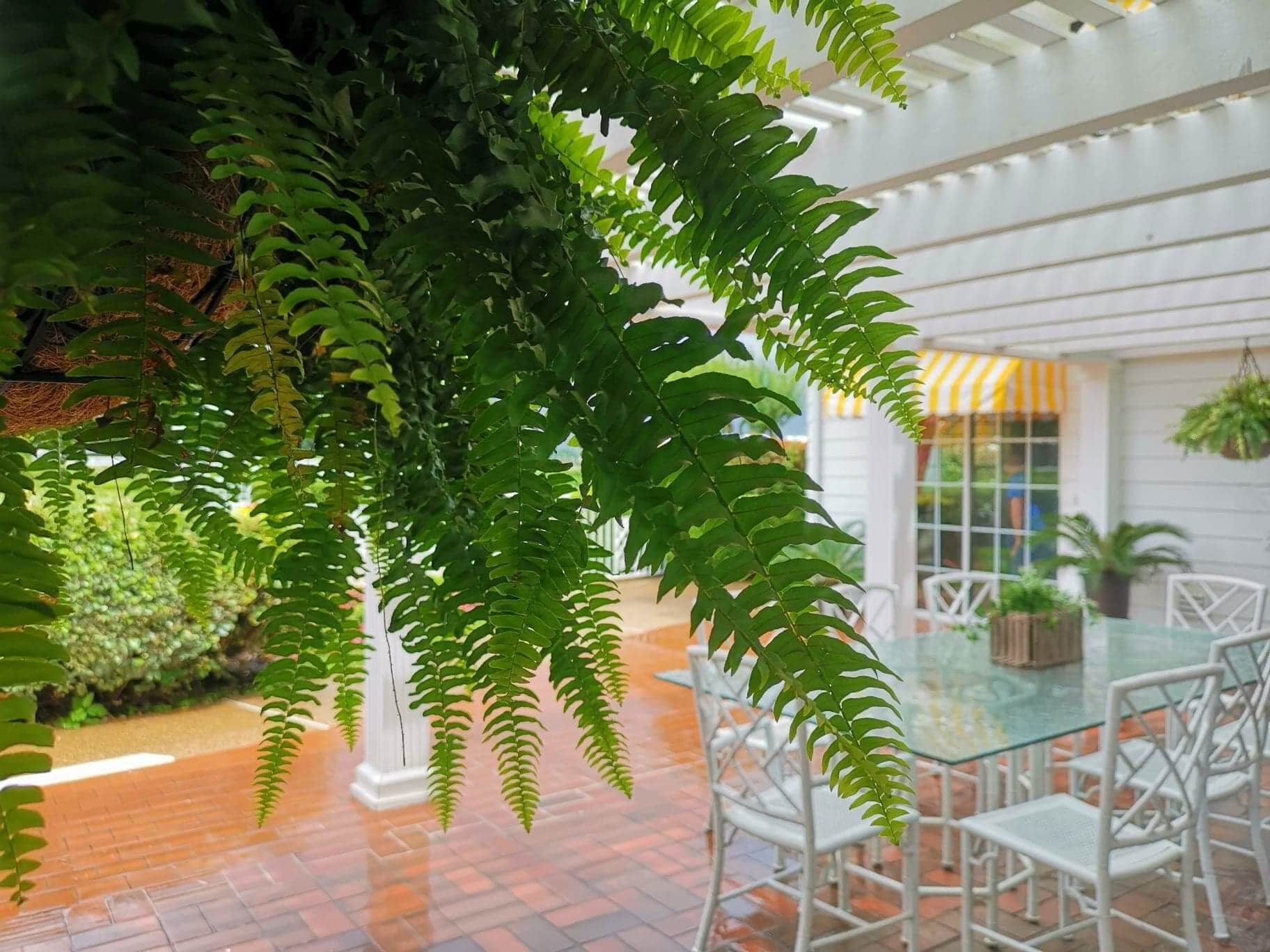 Museum on Famous TV series Dallas