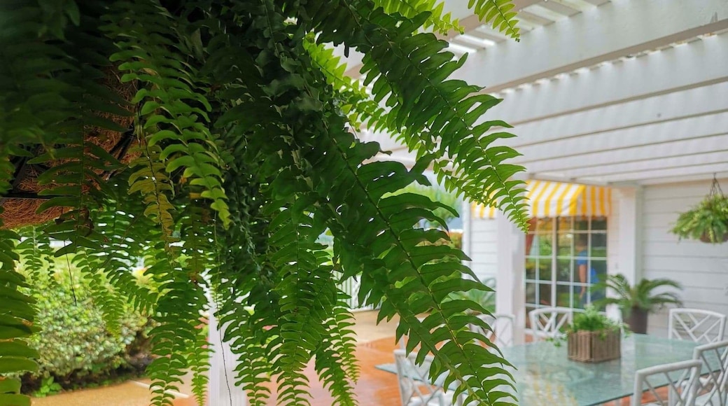 Museum on Famous TV series Dallas