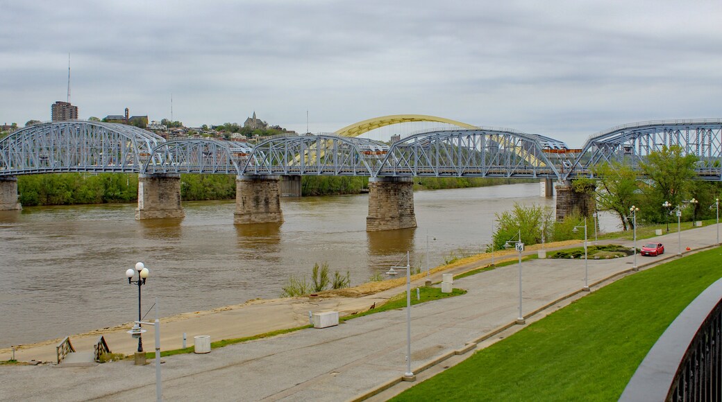 วูดลอว์น