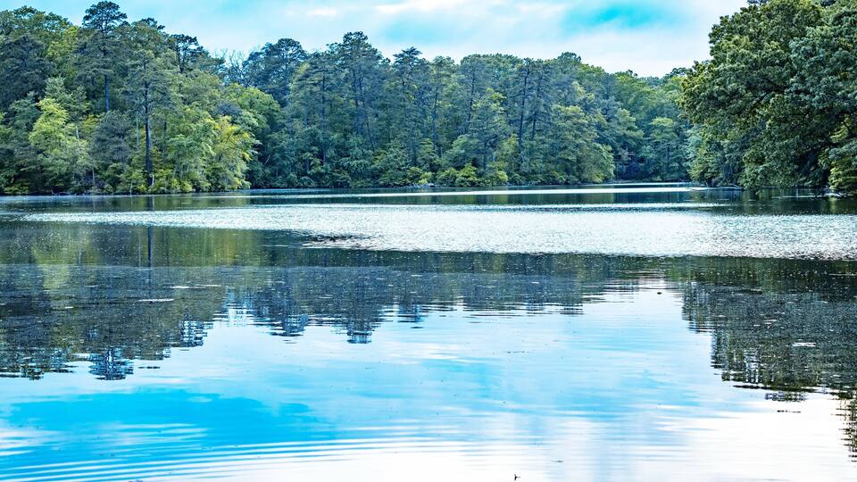 A beautiful landscape view of Lake Waterford Park, Pasadena, Maryland