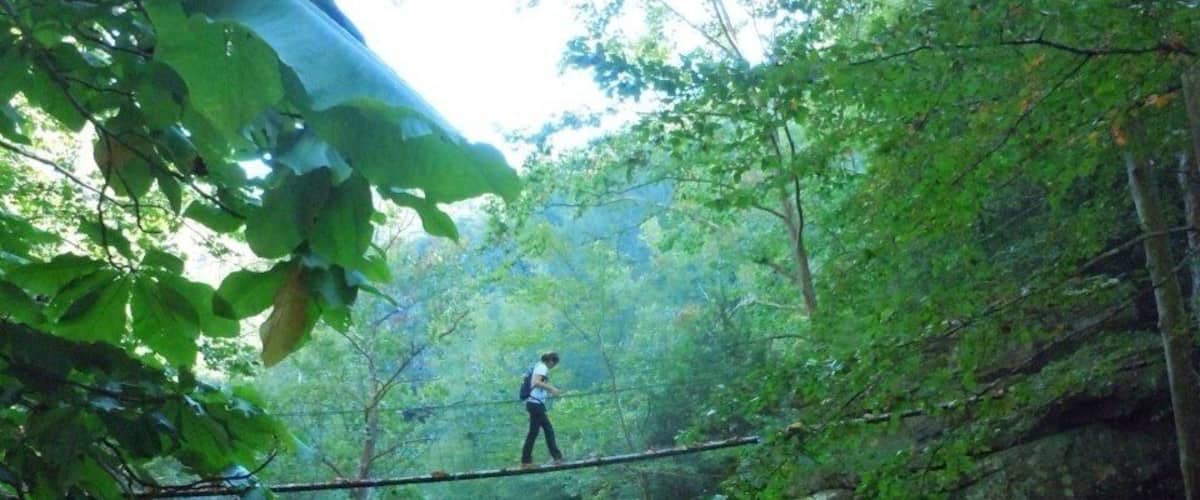 A person walking on a rope bridge over a stream in a forested area with large rocks and trees.