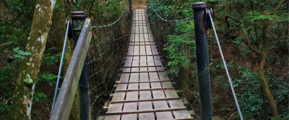 Small swinging bridge crossing Savage Creek on the way to Savage Falls.