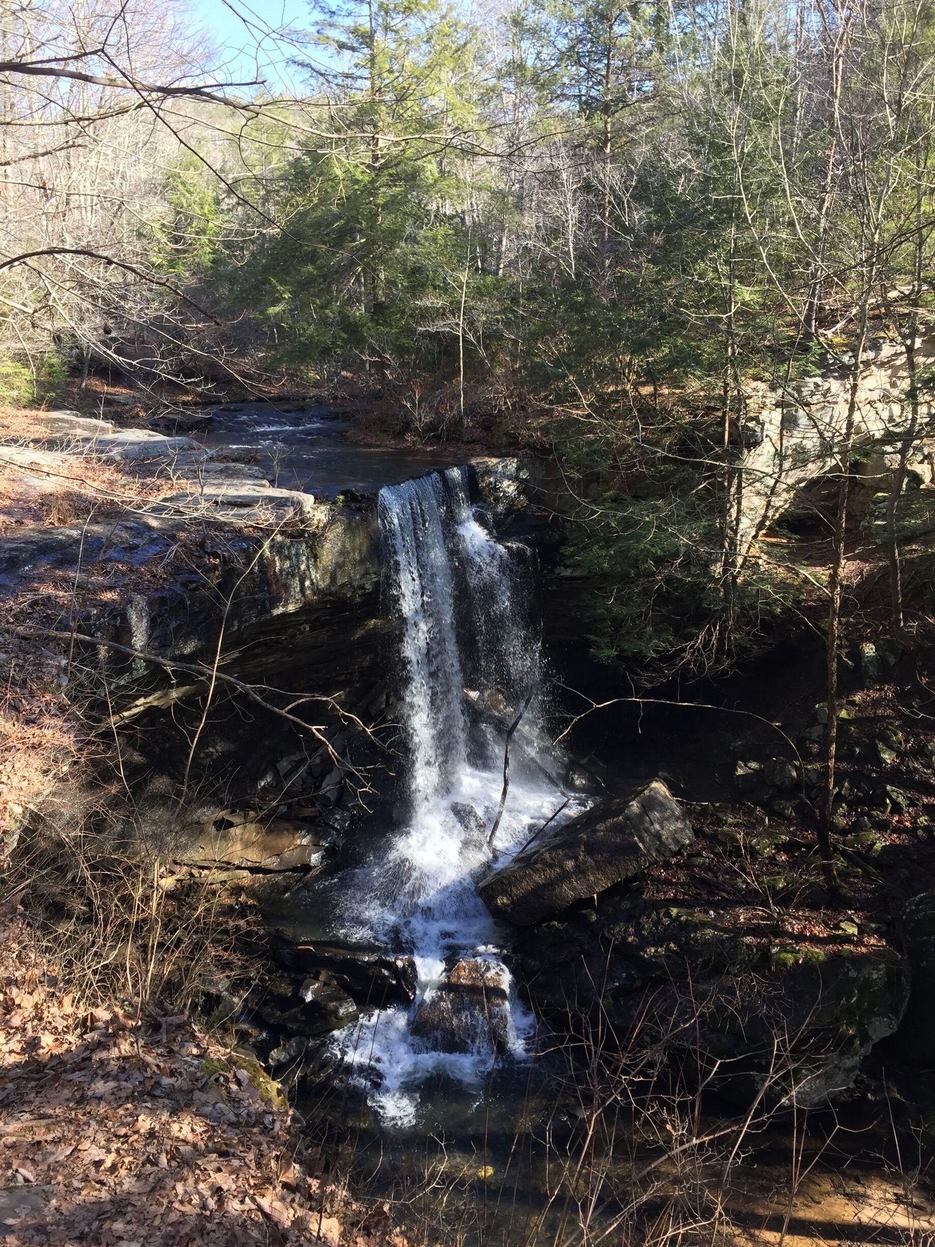 Laurel falls, right next to the stone door ranger station. 