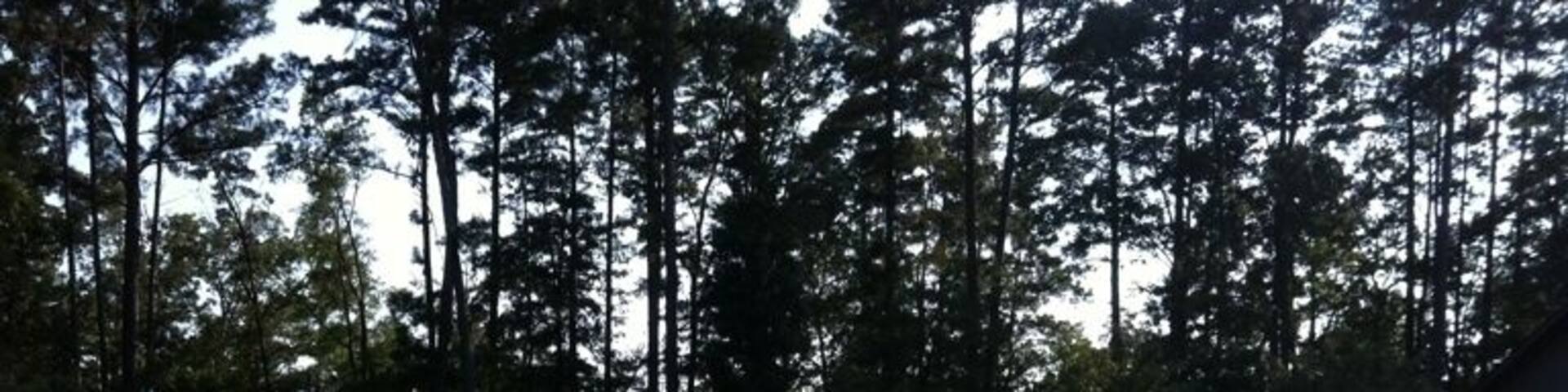 Swimming pool at Lake D'Arbonne State Park. Open Wednesday-Sunday, 10:00-6:00.