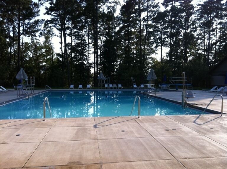 A swimming pool surrounded by trees.