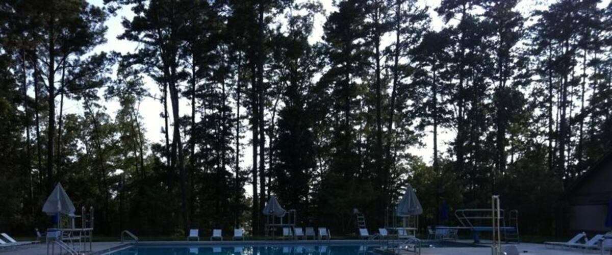 A swimming pool surrounded by trees.