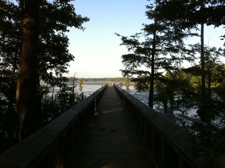 Fishing pier at Lake D'Arbonne State Park.