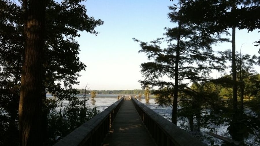 Fishing pier at Lake D'Arbonne State Park.