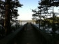 A wooden bridge over a body of water, surrounded by trees.