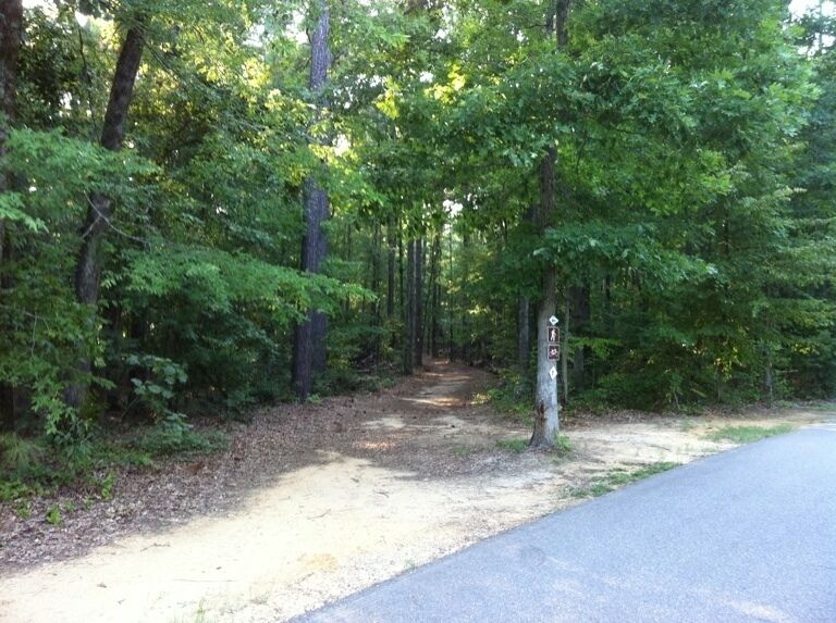 Well marked trailheads and clean, wide trails at Lake D'Arbonne State Park.