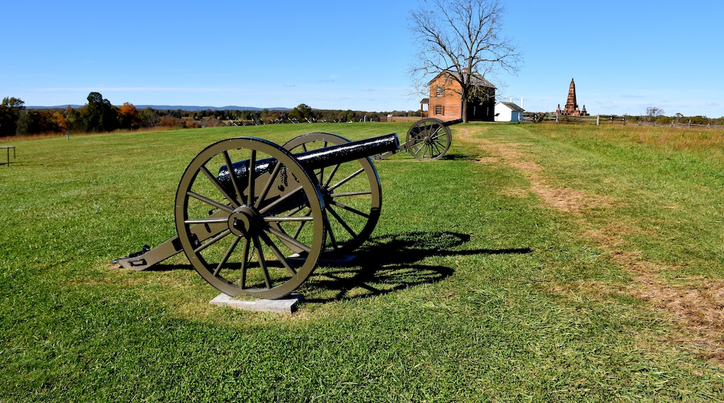 A cannon in a grassy field with a wooden house and a monument in the background.