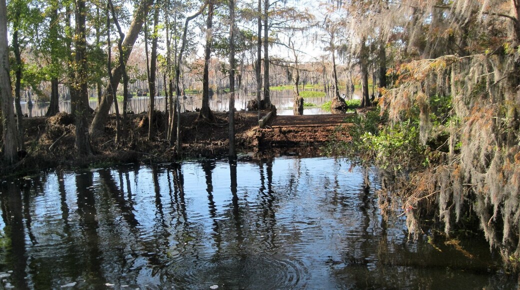 Picture of the lake in this low country town, where so much massive flooding occurred just weeks ago from hurricane Matthew.