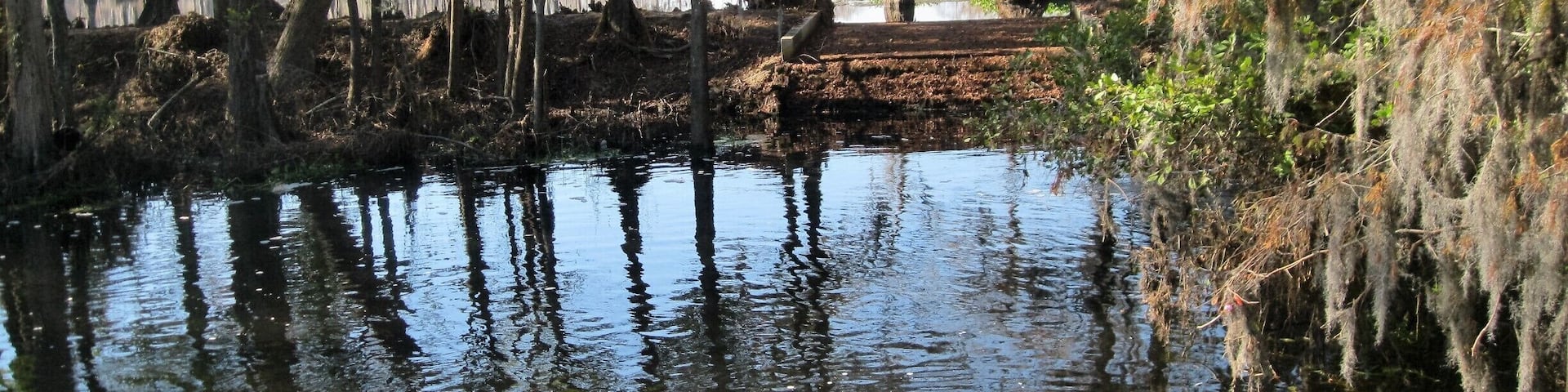 Picture of the lake in this low country town, where so much massive flooding occurred just weeks ago from hurricane Matthew.