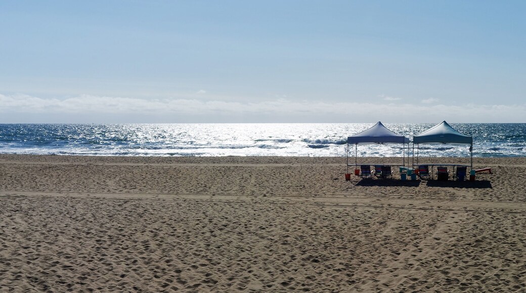 Early morning beach seascape with tents.