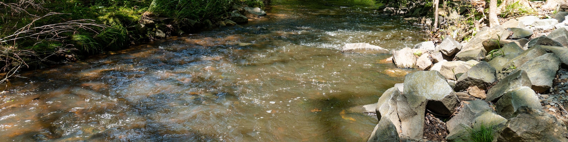 Un ruisseau aux eaux claires qui coule sous un pont en bois, le tout étant entouré d’une végétation luxuriante.