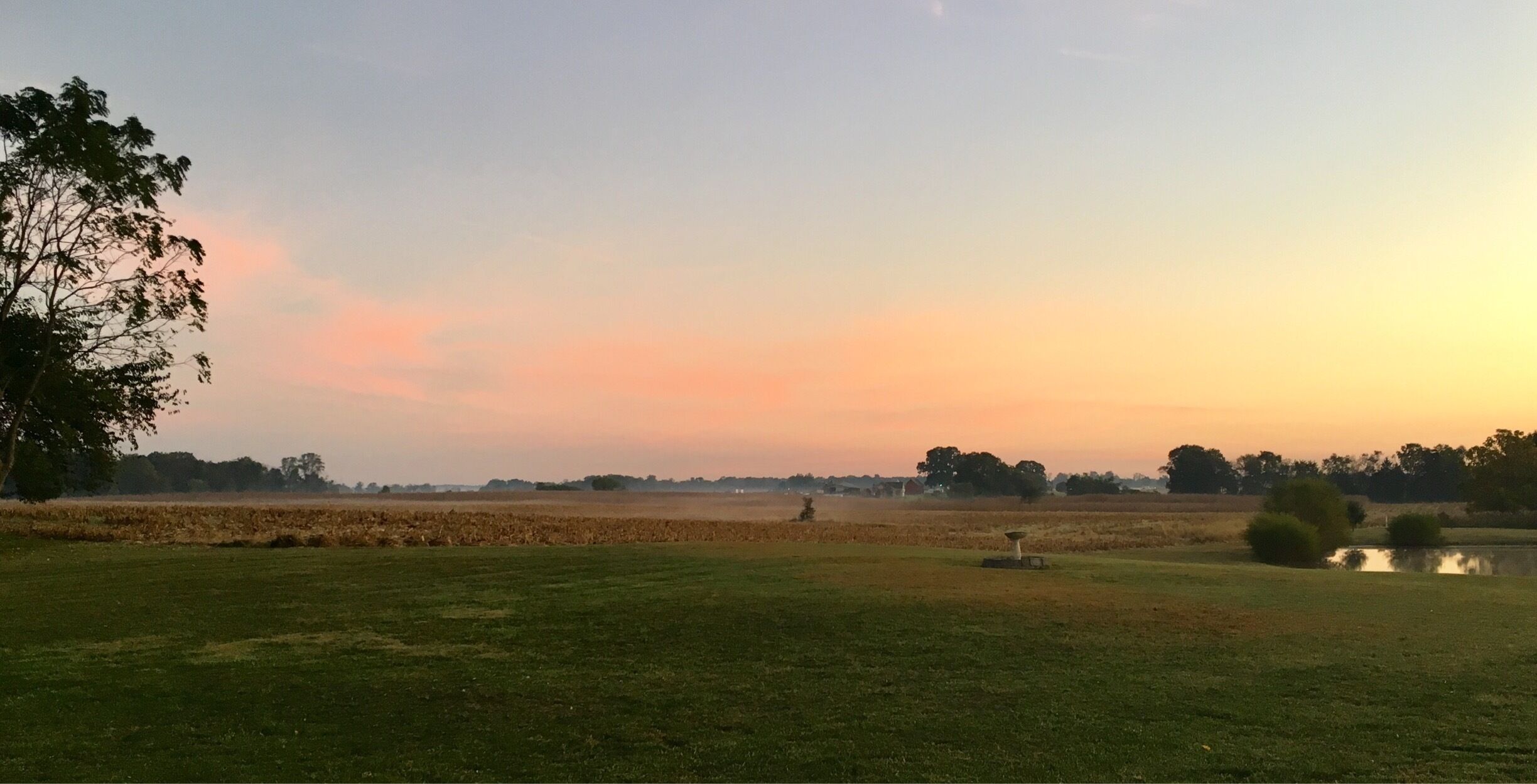 A rural landscape with a field, a small pond, and trees under a sunset sky.