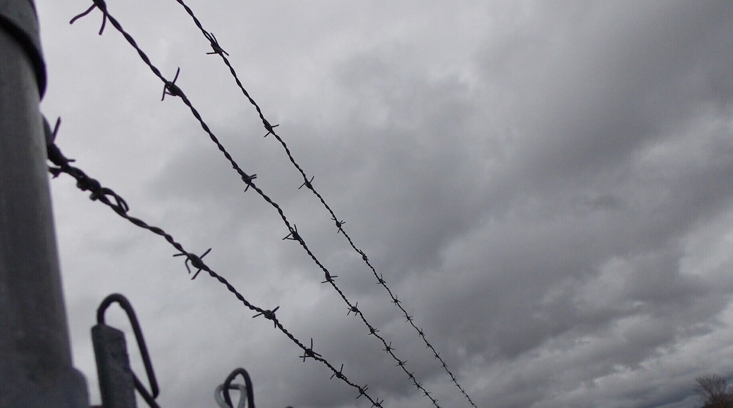 This park was closed off to my with fences and barbed wire. As you can see I got a little frustrated and instead of picturing the the actual park, there is a photograph of the obstacles in my way. Yet this dreary scene is not the one that shows its true colors. If you were to look it up online, you would see the many festivals and events hosted here such as lawnmower races, agricultural fairs, and 4-H exhibits. Most of these events include music, dancing, and wrestling matches to entertain the adults and children alike whether through participation or spectation. #appalachianechos