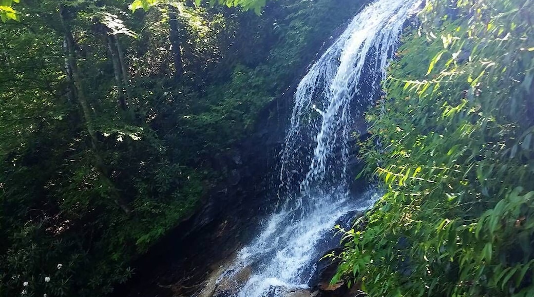 A beautiful but hard to reach waterfall!