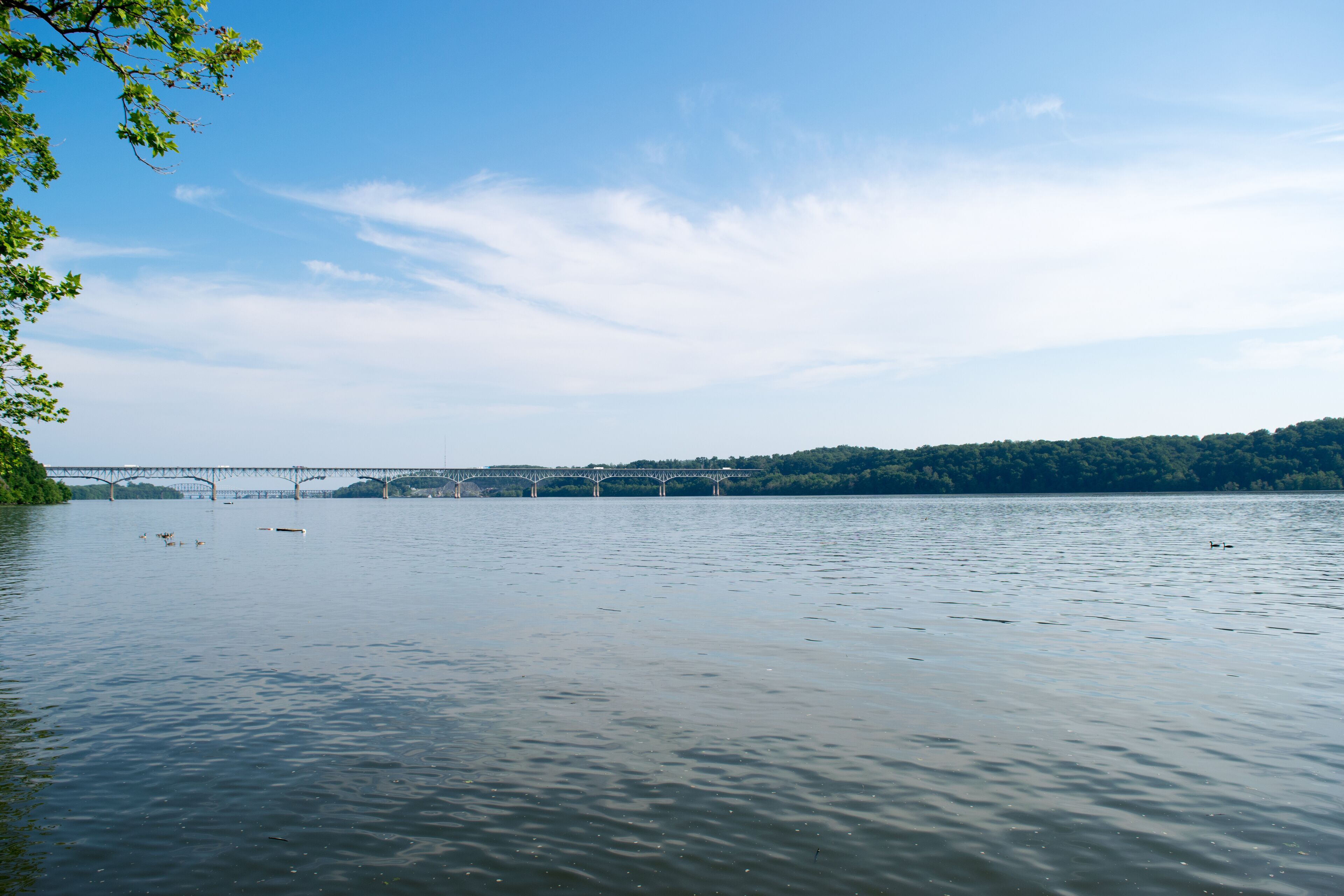 A calm river with a bridge in the distance and a forested hill.