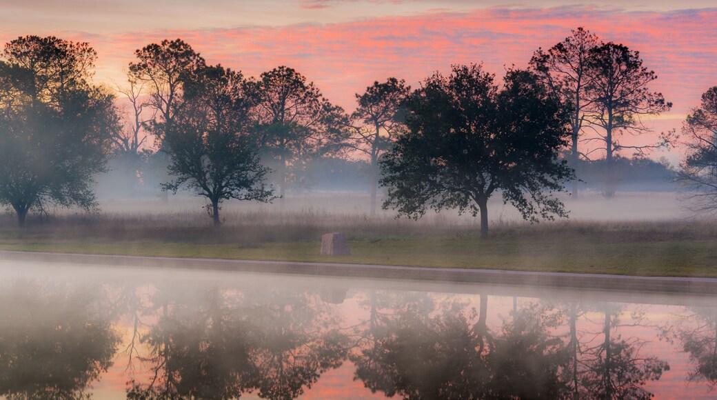 A serene landscape with trees silhouetted against a pink and orange sky, reflecting in a calm body of water.