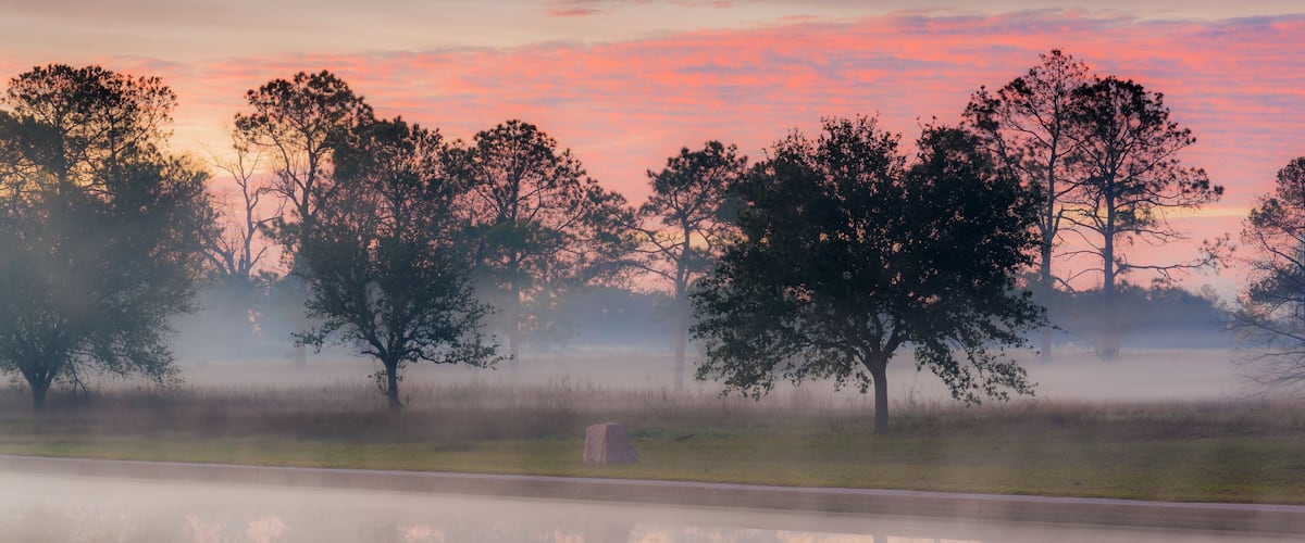 A serene landscape with trees silhouetted against a pink and orange sky, reflecting in a calm body of water.