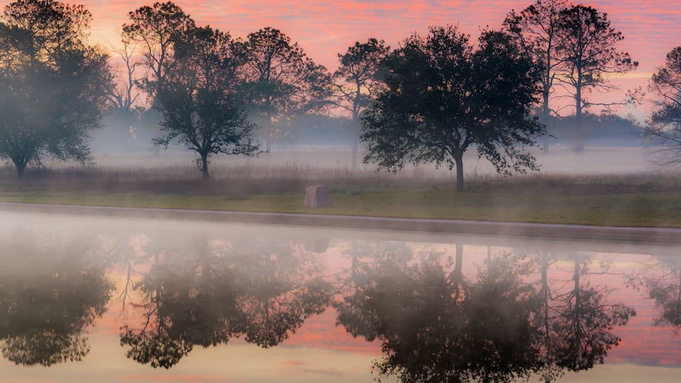 A serene landscape with trees silhouetted against a pink and orange sky, reflecting in a calm body of water.