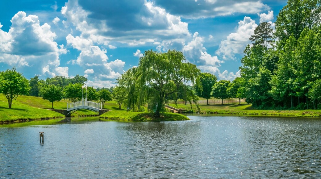 Little park on the side road of NC 16 Hwy