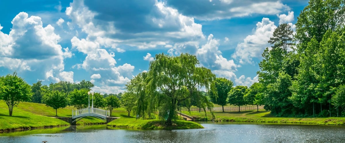 A serene park with a bridge over a calm lake, surrounded by lush greenery and trees.