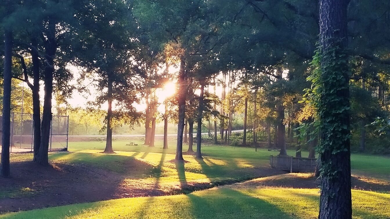 My view on my morning jog...