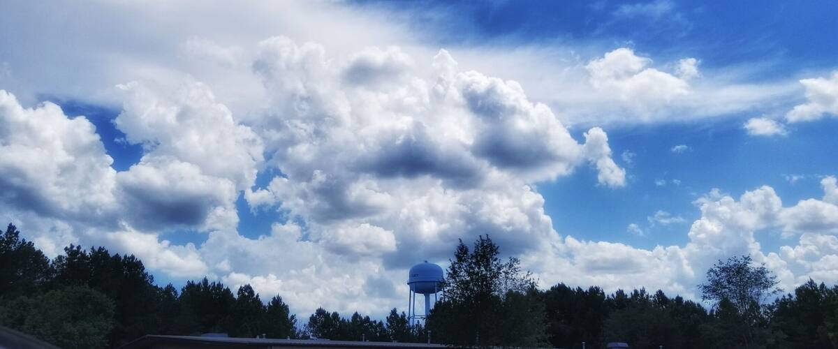 A water tower, trees, and a partly cloudy sky.