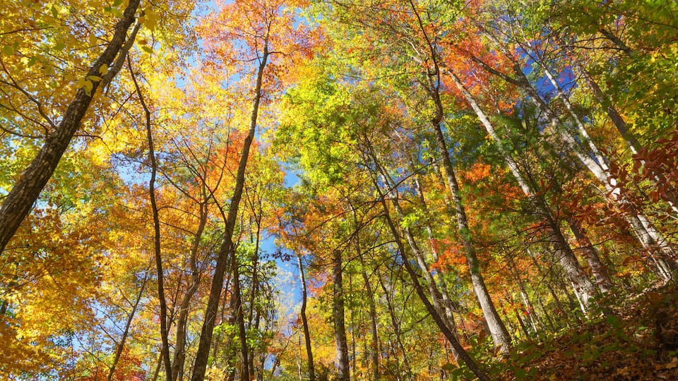 Fall at South Mountains State Park