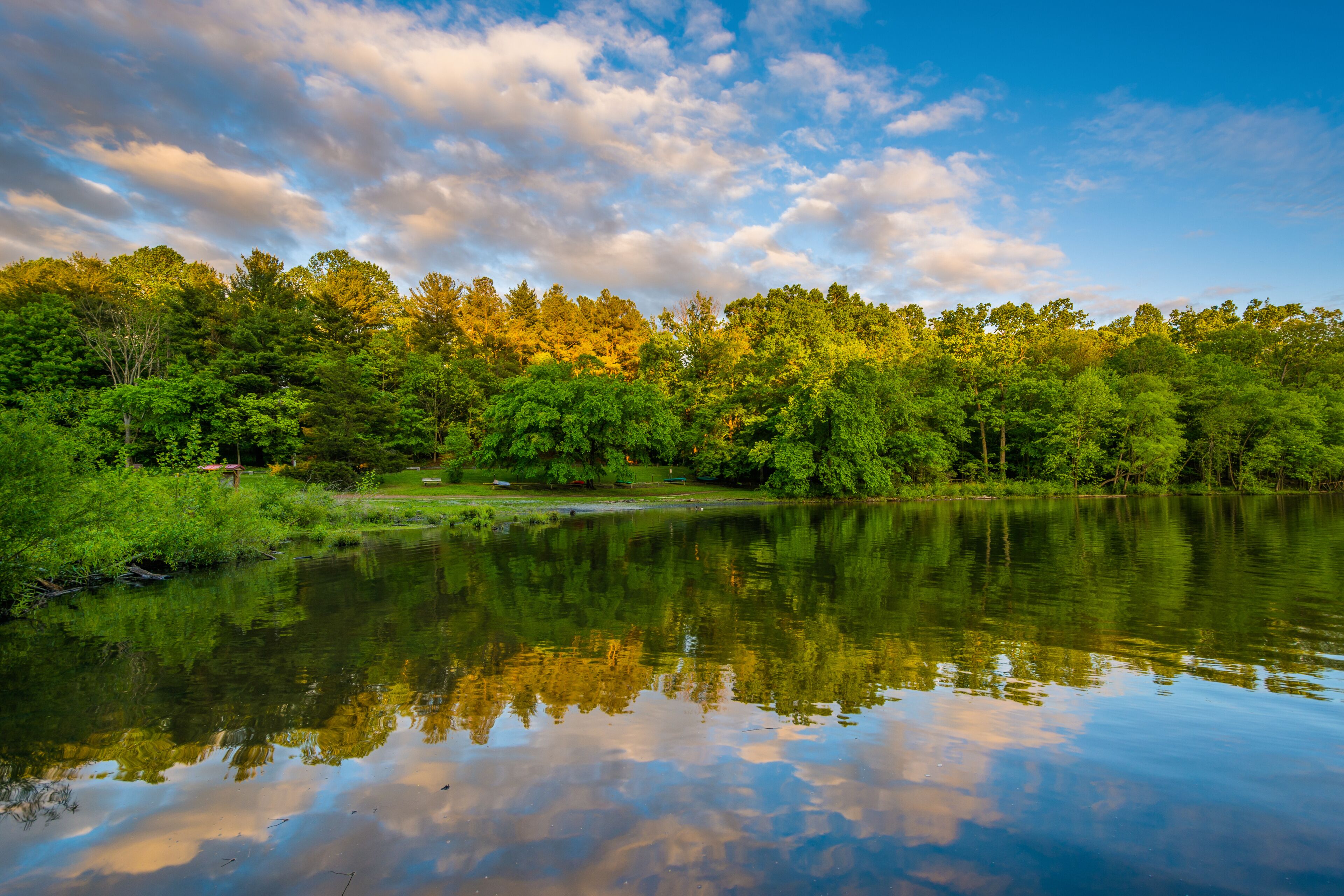 A calm lake reflecting trees and a clear sky.
