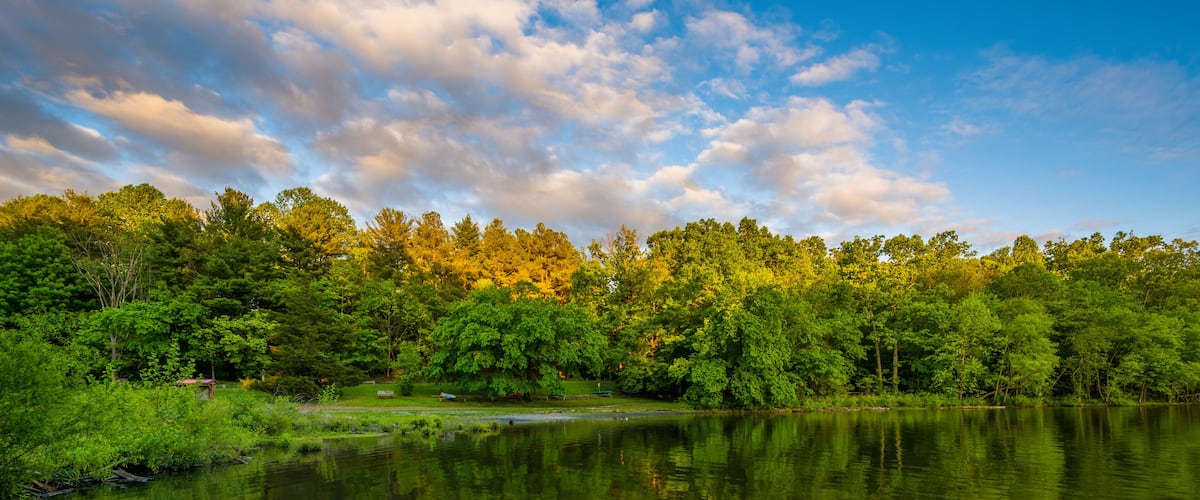 A calm lake reflecting trees and a clear sky.
