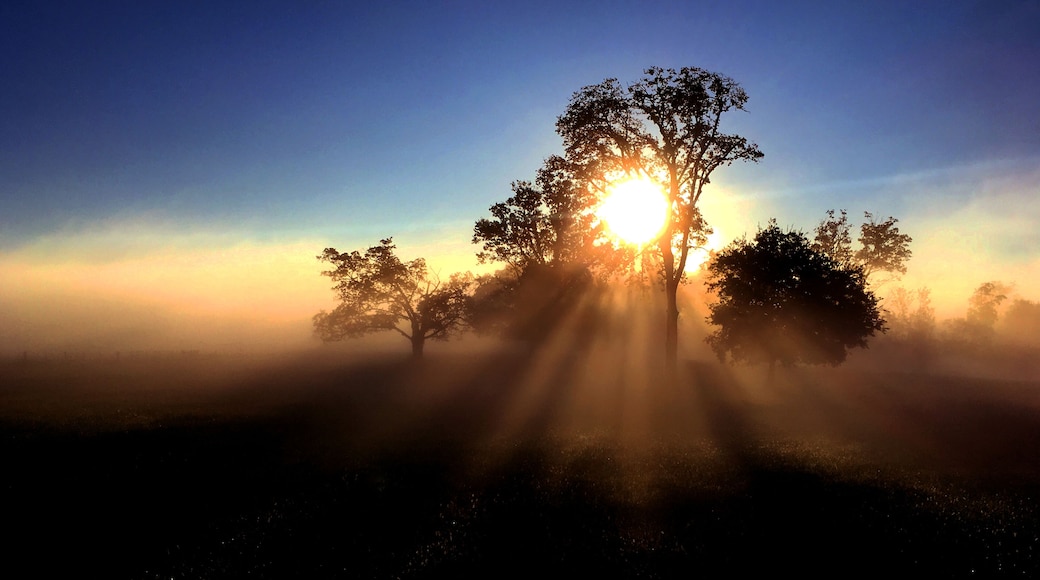 The sun rises on a farm in Franklin, Tennessee.
