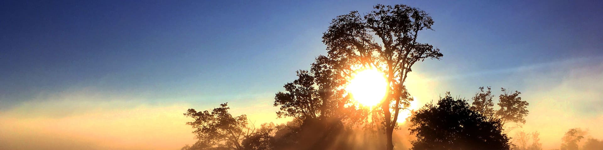 The sun rises on a farm in Franklin, Tennessee.