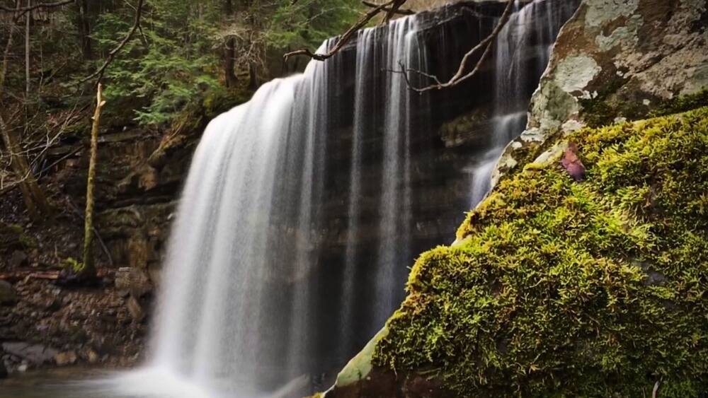 Ranger Falls in Savage Gulf State Park. Very remote location and very hard get to. Beautiful waterfall that’s well worth the effort.