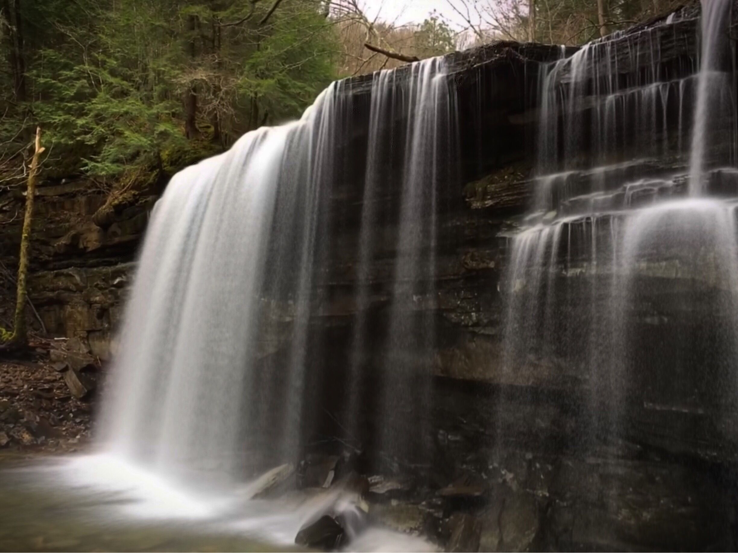 Savage Gulf- Ranger Falls. 
