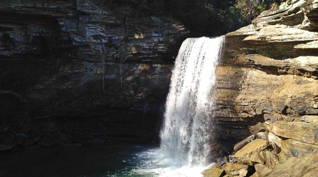 One of many waterfalls Savage Gulf Natural Area.