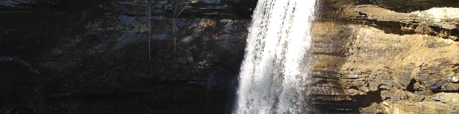 One of many waterfalls Savage Gulf Natural Area.