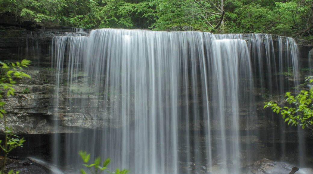 This gorgeous gem was the best mid point to our backpacking trip. Can't wait to go back to enjoy it once more.
Read more about my adventures and my guide here: http://thewalkingmermaid.com/blog/south-cumberland-tn-backpacking-guide