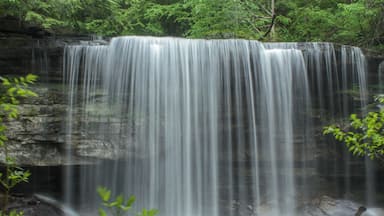 This gorgeous gem was the best mid point to our backpacking trip. Can't wait to go back to enjoy it once more.
Read more about my adventures and my guide here: http://thewalkingmermaid.com/blog/south-cumberland-tn-backpacking-guide