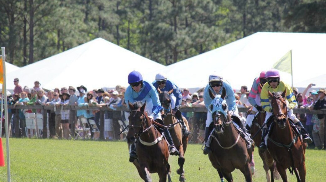 If you're in the Fayetteville area check out the Stoneybrook Steeplechase at Carolina Horse Park. It was really cool to watch :)