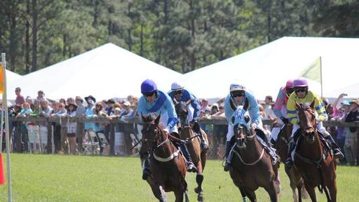 If you're in the Fayetteville area check out the Stoneybrook Steeplechase at Carolina Horse Park. It was really cool to watch :)