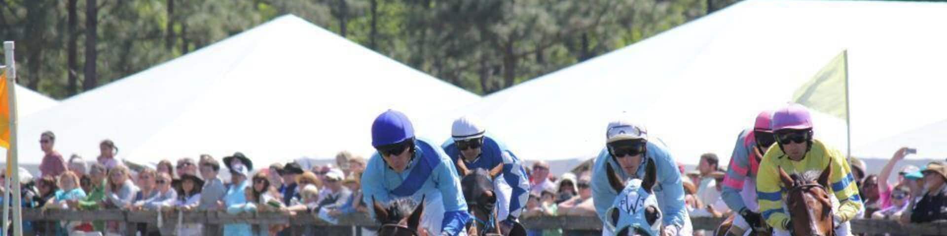 If you're in the Fayetteville area check out the Stoneybrook Steeplechase at Carolina Horse Park. It was really cool to watch :)
