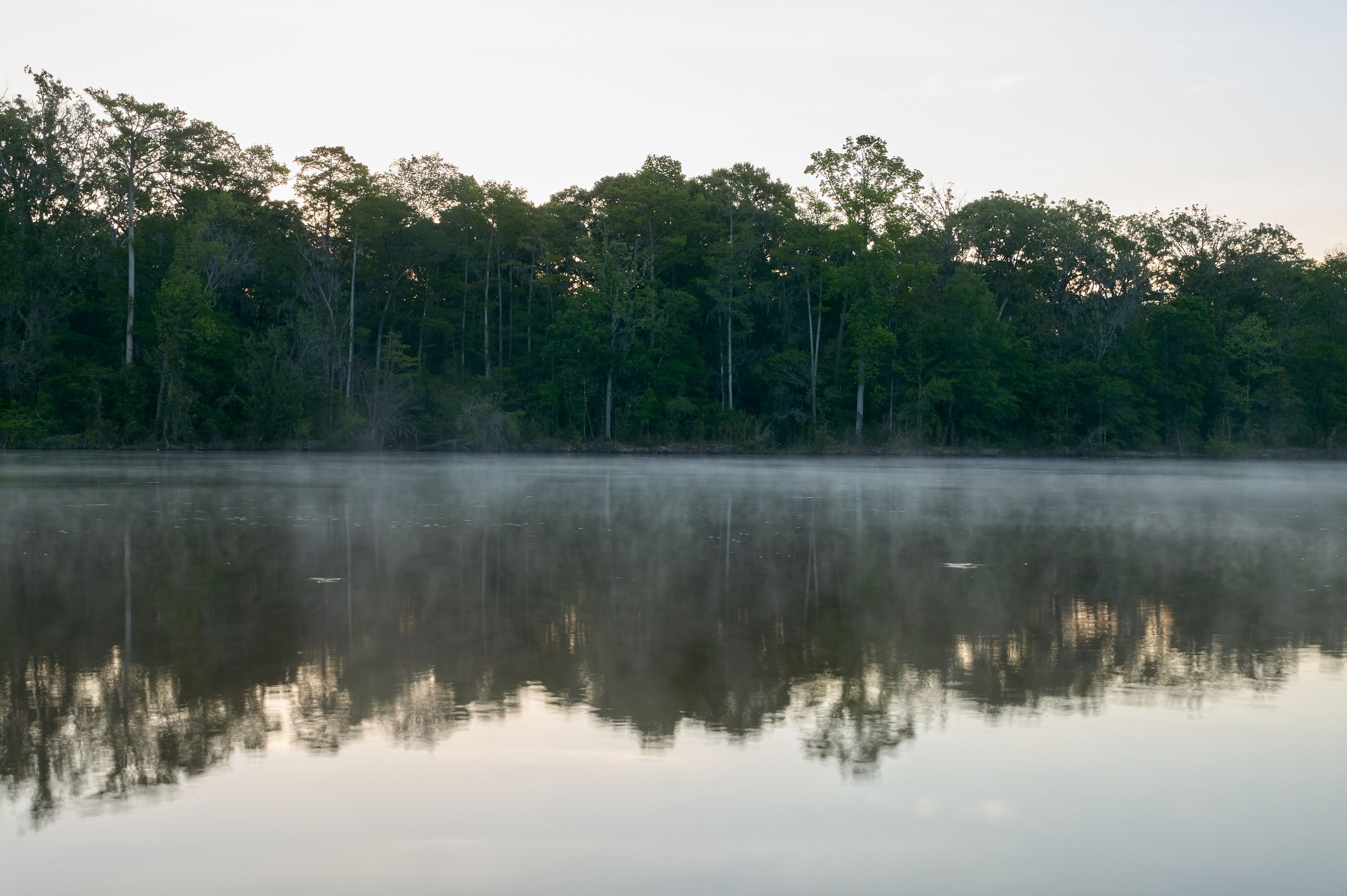 Morning sunrise mist on the Altamaha River