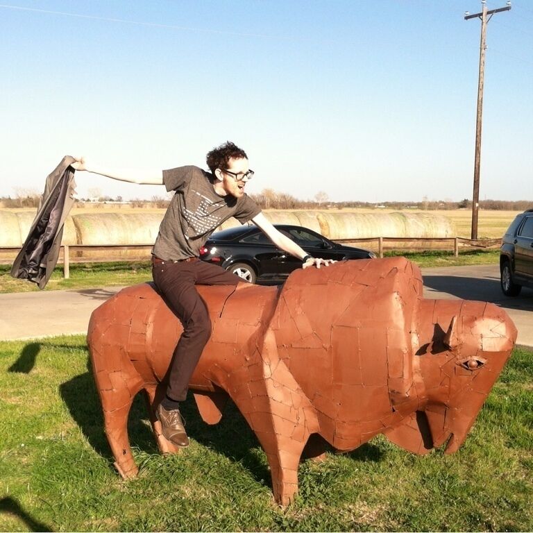 Metal bison. One of a number of artsy bison around. 