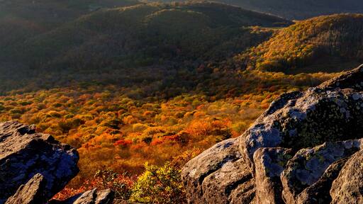 The North Carolina Blue Ridge in Autumn from Sugar Mountain