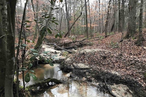 Just a small stroll behind my house.