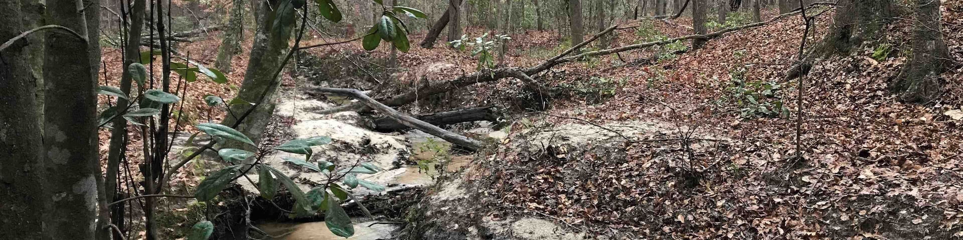 Just a small stroll behind my house.