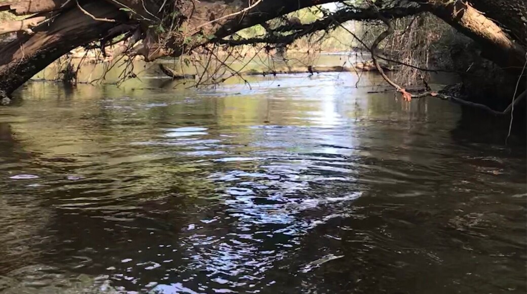 I would not recommend doing a kayak paddle here because the water is just too shallow